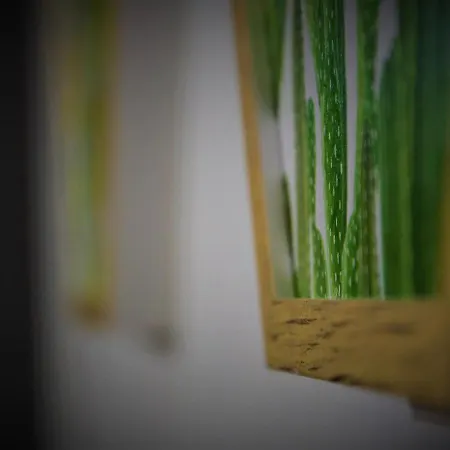 Modern Green 3